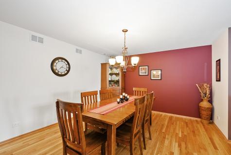 19 Saint Moritz Drive Palos Park IL 60464