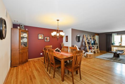 19 Saint Moritz Drive Palos Park IL 60464