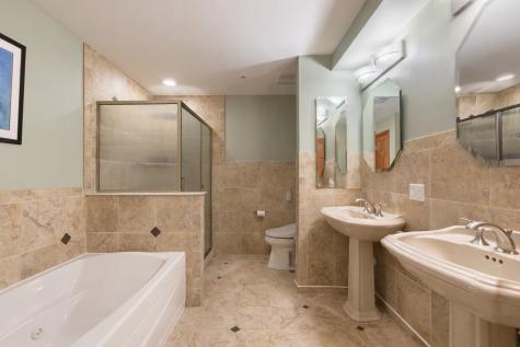 153 Pointe Drive Northbrook IL 60062