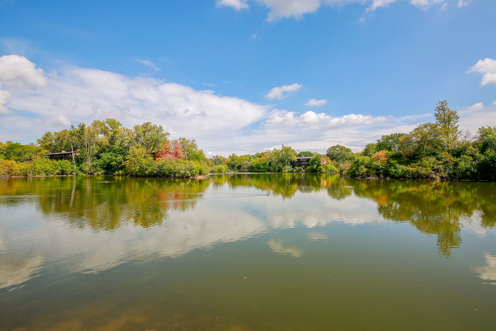 5542 East Lake Drive Lisle IL 60532