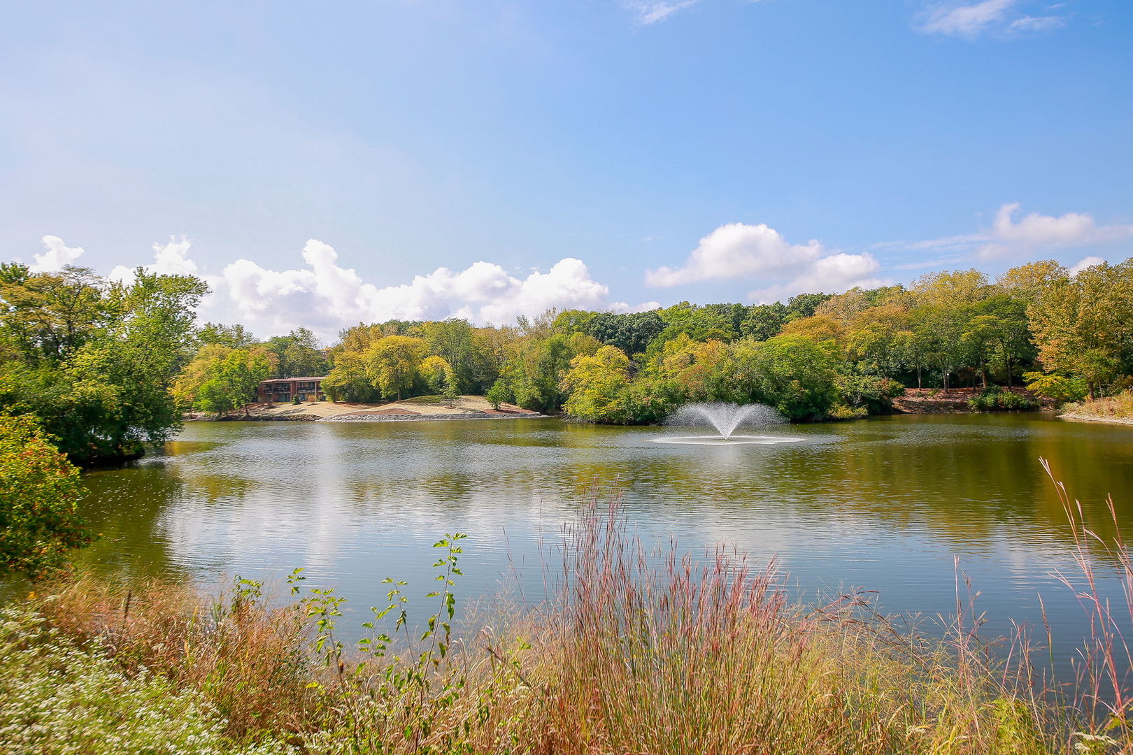 5542 East Lake Drive Lisle IL 60532