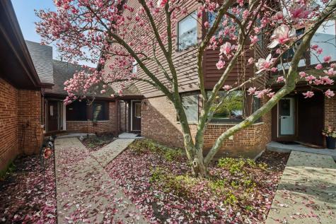 37 Terrace Lane Lake Zurich IL 60047