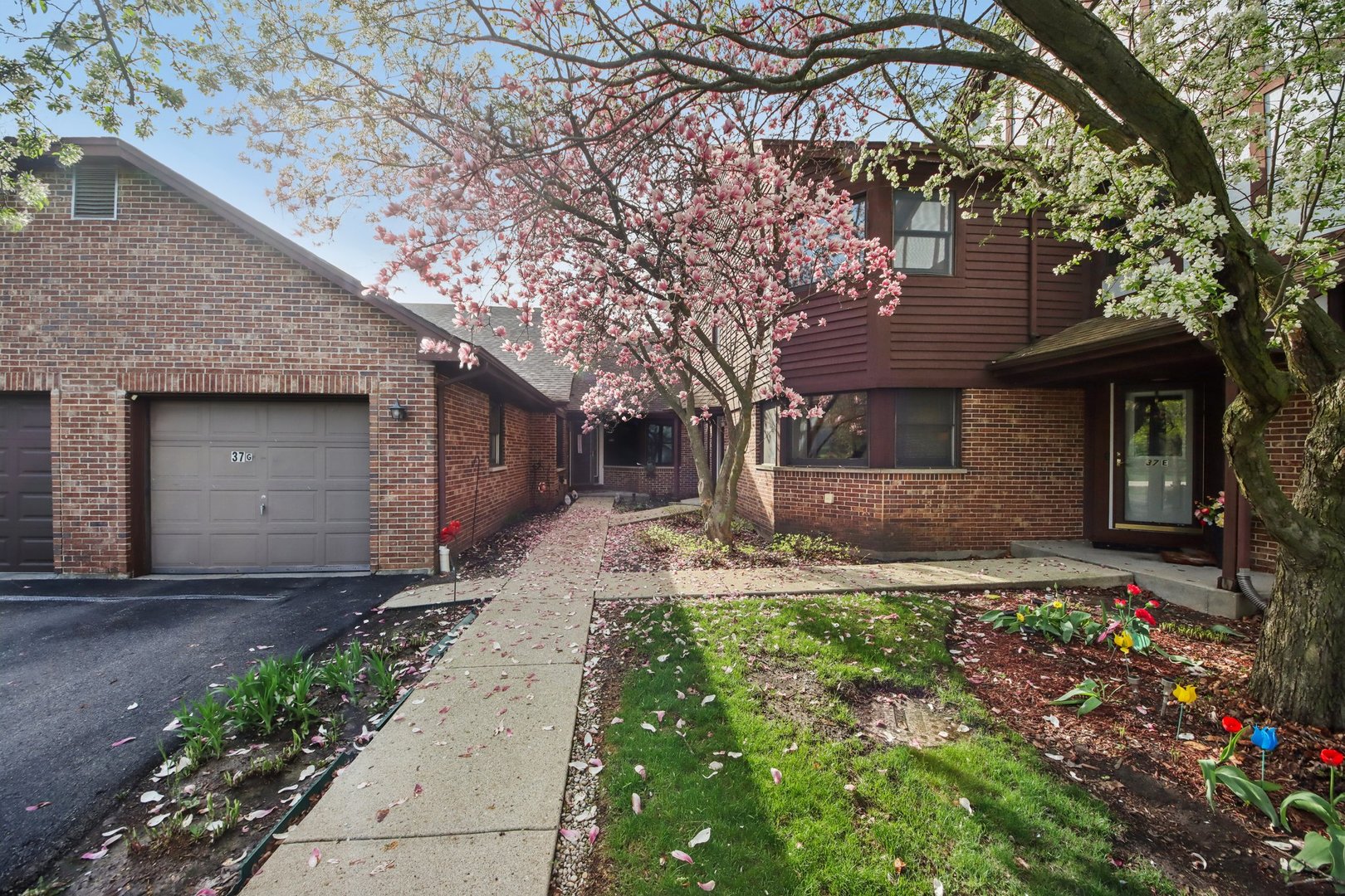 37 Terrace Lane Lake Zurich IL 60047