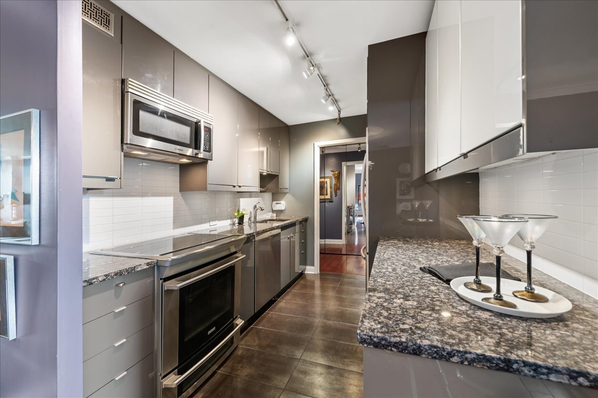 1555 North Sandburg Terrace Chicago IL 60610