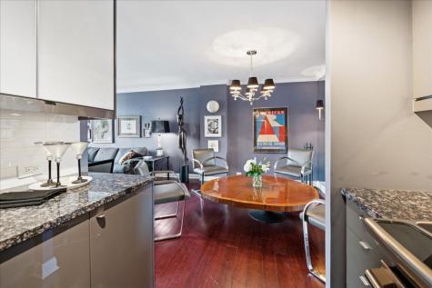 1555 North Sandburg Terrace Chicago IL 60610