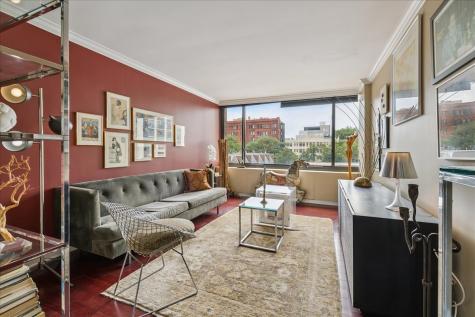 1555 North Sandburg Terrace Chicago IL 60610