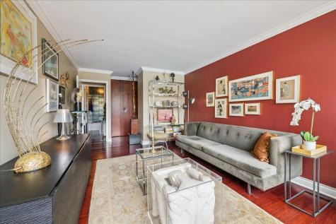 1555 North Sandburg Terrace Chicago IL 60610