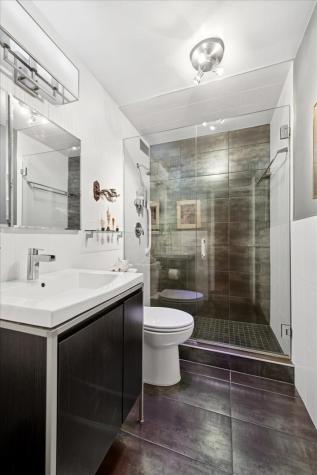 1555 North Sandburg Terrace Chicago IL 60610