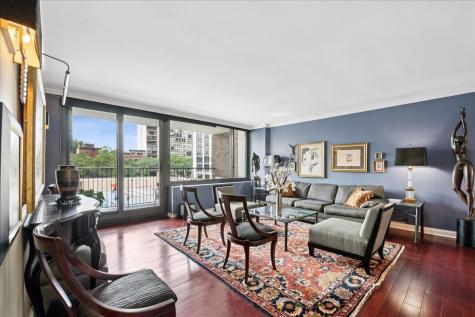 1555 North Sandburg Terrace Chicago IL 60610