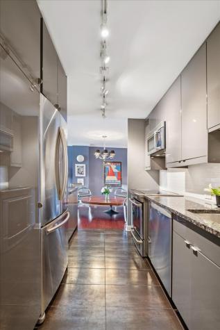 1555 North Sandburg Terrace Chicago IL 60610