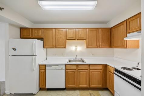 1 Villa Verde Drive Buffalo Grove IL 60089