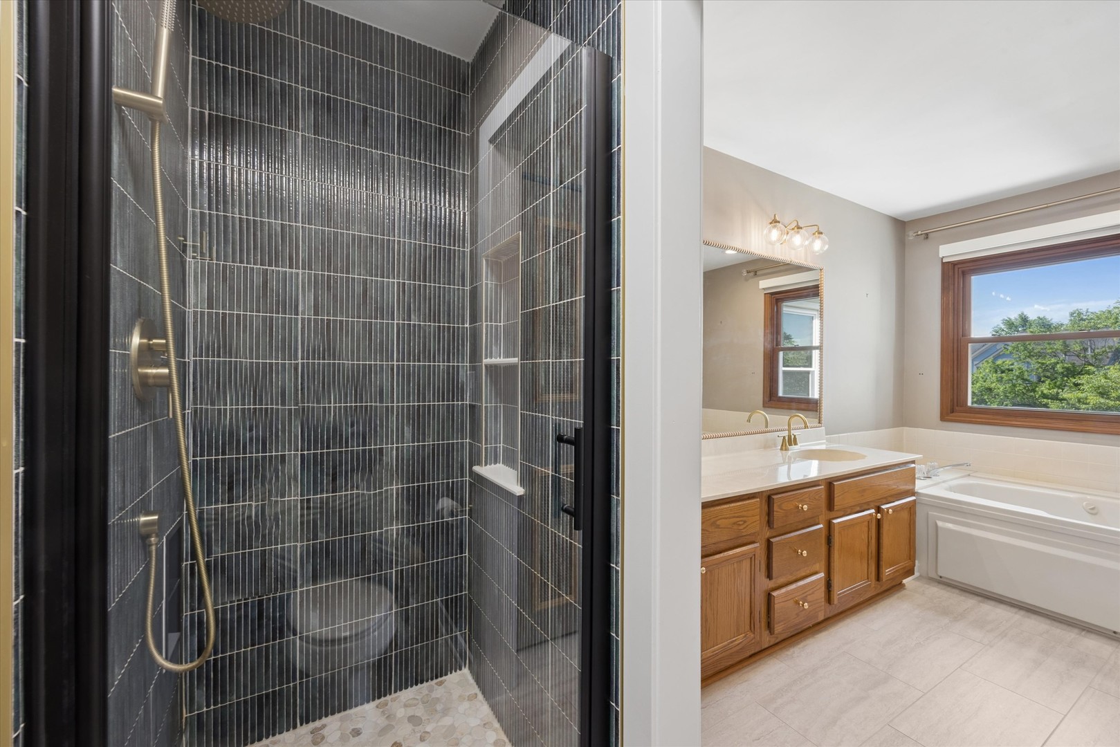 1239 Tennyson Lane Naperville IL 60540