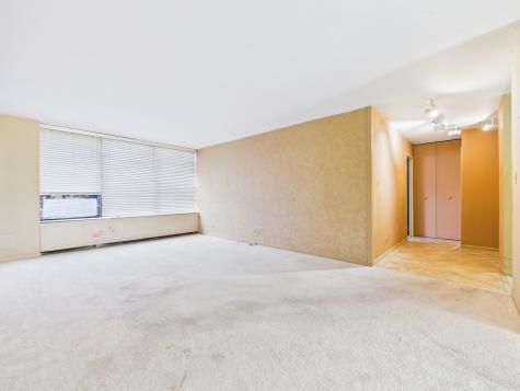 3930 North Pine Grove Avenue Chicago IL 60613