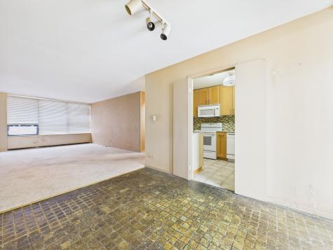 3930 North Pine Grove Avenue Chicago IL 60613