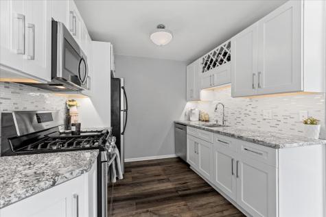 543 North Deer Run Drive Palatine IL 60067