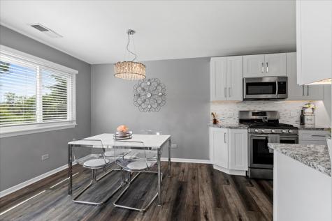 543 North Deer Run Drive Palatine IL 60067