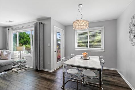 543 North Deer Run Drive Palatine IL 60067