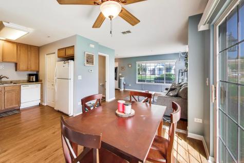538 Blue Springs Drive Fox Lake IL 60020
