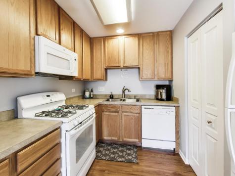 538 Blue Springs Drive Fox Lake IL 60020