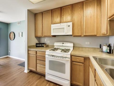 538 Blue Springs Drive Fox Lake IL 60020