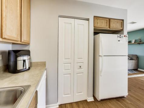 538 Blue Springs Drive Fox Lake IL 60020