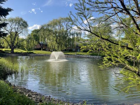 706 East Algonquin Road Arlington Heights IL 60005
