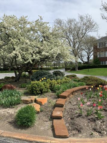 3415 Vollmer Road Flossmoor IL 60422