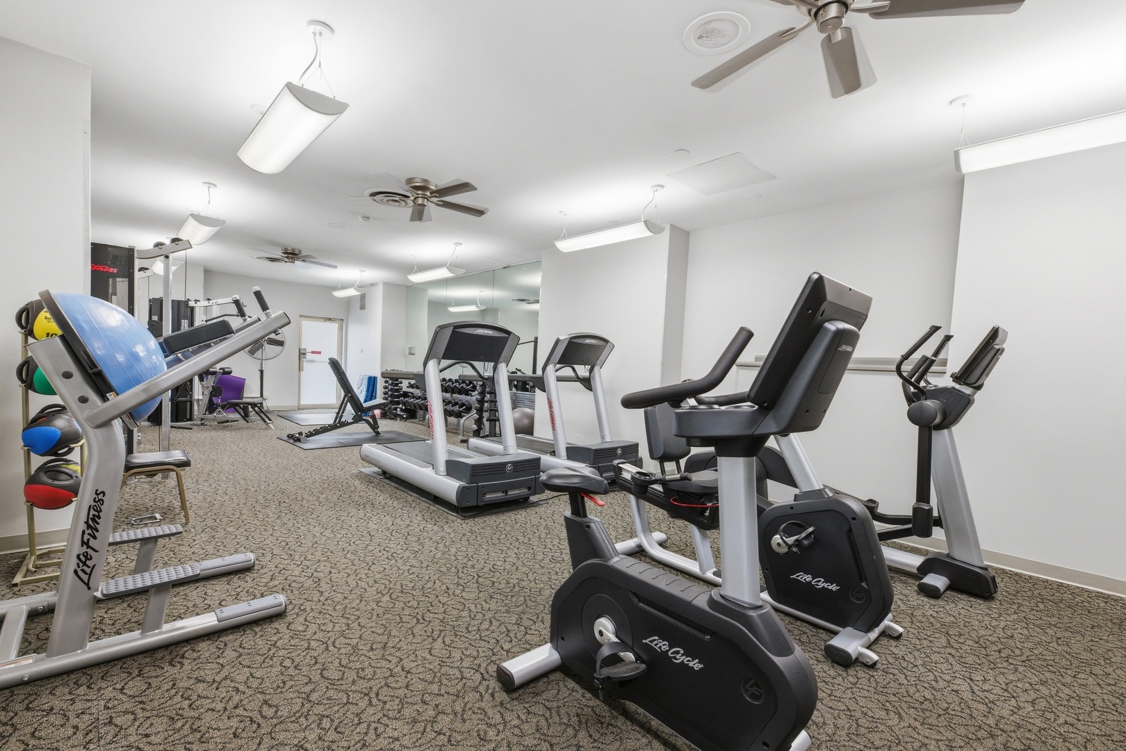 6301 North Sheridan Road Chicago IL 60660