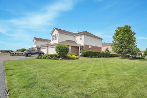 2733 Foxwood Drive New Lenox IL 60451