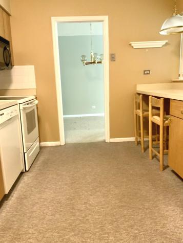 1103 North Mill Street Naperville IL 60563