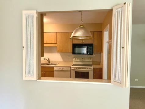 1103 North Mill Street Naperville IL 60563