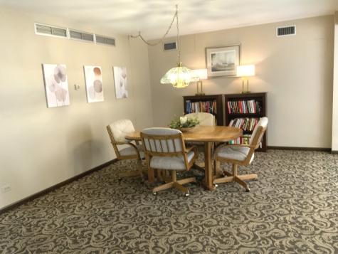 1103 North Mill Street Naperville IL 60563