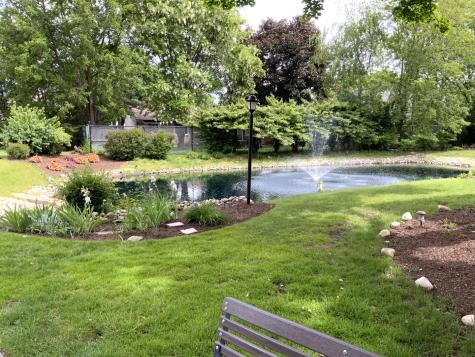 1103 North Mill Street Naperville IL 60563