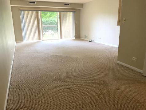 1103 North Mill Street Naperville IL 60563