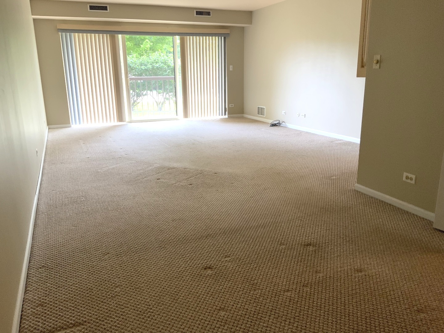 1103 North Mill Street Naperville IL 60563