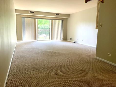 1103 North Mill Street Naperville IL 60563