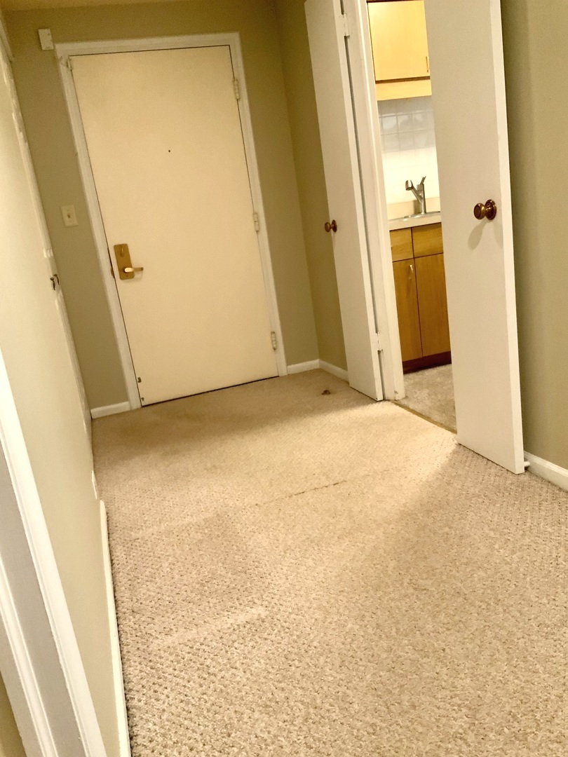 1103 North Mill Street Naperville IL 60563