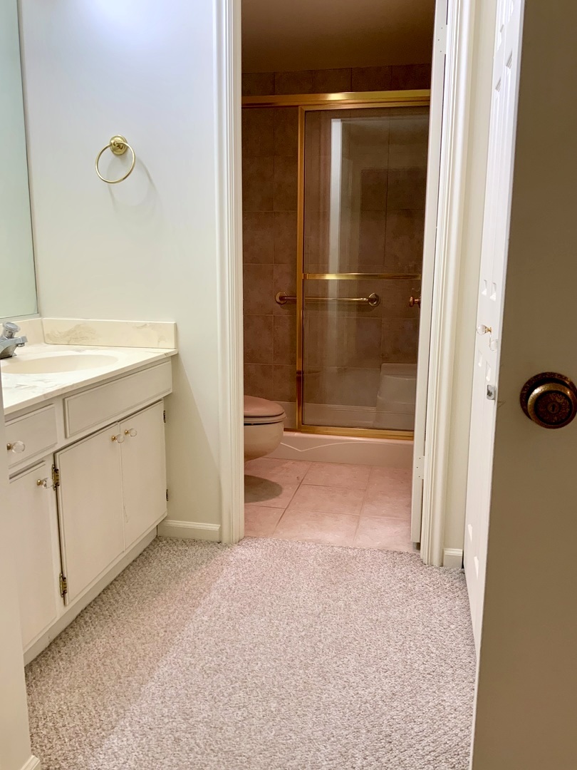 1103 North Mill Street Naperville IL 60563