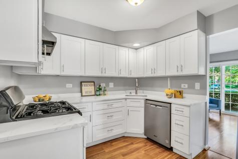 1282 Old Mill Lane Elk Grove Village IL 60007