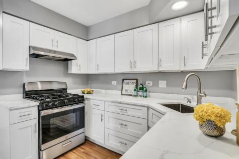 1282 Old Mill Lane Elk Grove Village IL 60007