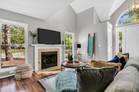 1282 Old Mill Lane Elk Grove Village IL 60007