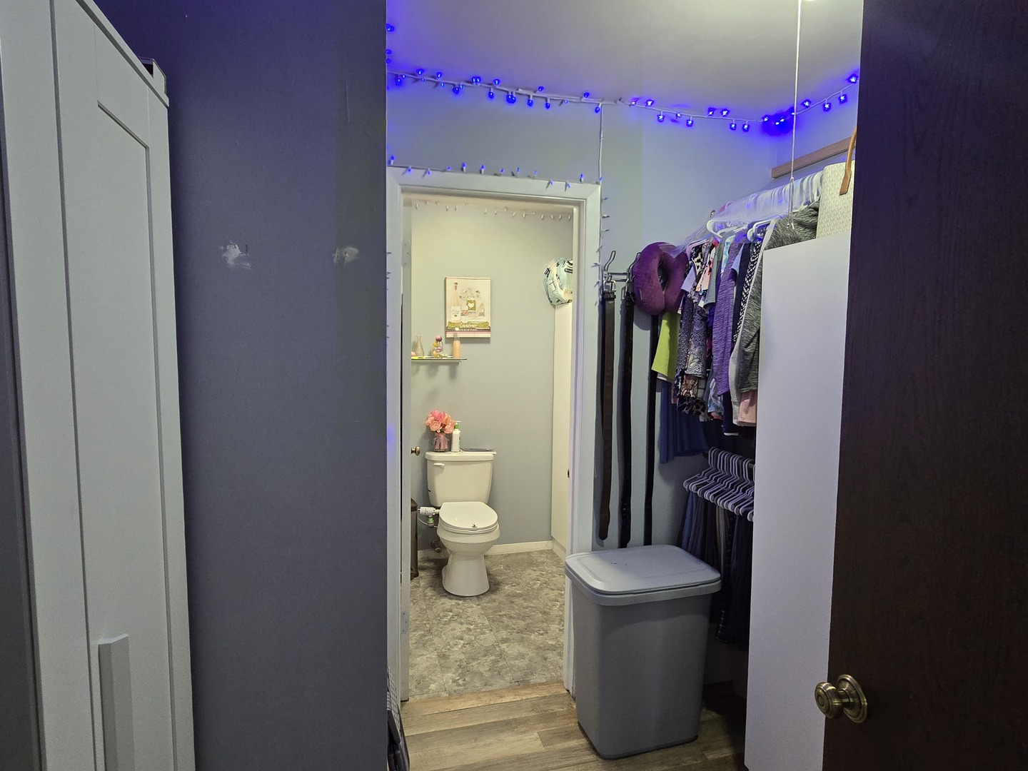 161 West Elk Trail W Carol Stream IL 60188
