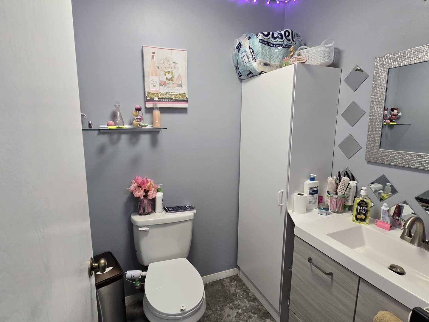 161 West Elk Trail W Carol Stream IL 60188