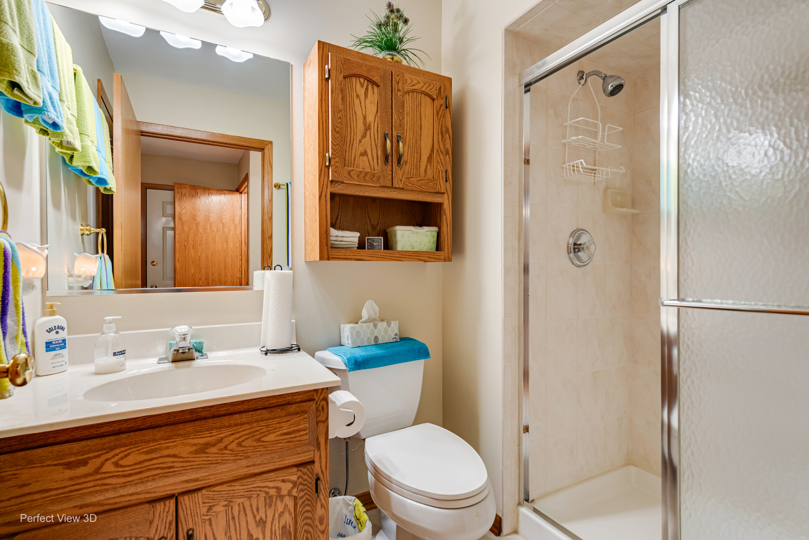 17814 America Court Orland Park IL 60467