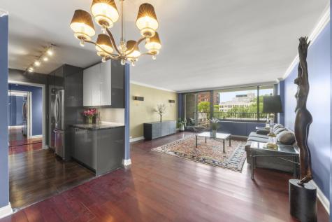 1555 North Sandburg Terrace Chicago IL 60610