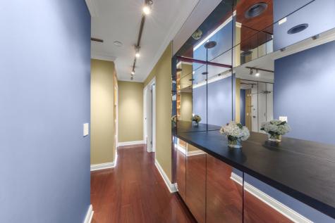 1555 North Sandburg Terrace Chicago IL 60610