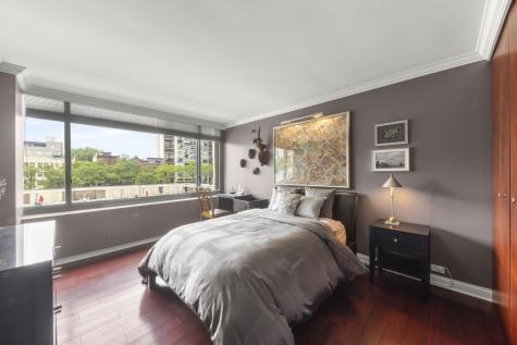 1555 North Sandburg Terrace Chicago IL 60610
