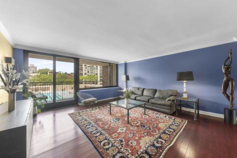 1555 North Sandburg Terrace Chicago IL 60610