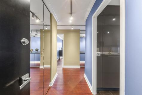 1555 North Sandburg Terrace Chicago IL 60610