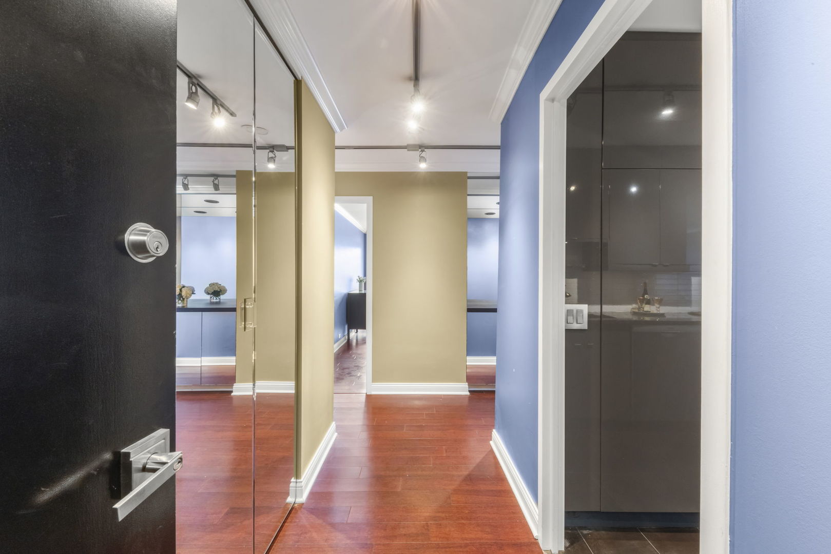 1555 North Sandburg Terrace Chicago IL 60610